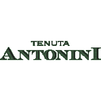 Tenuta Antonini